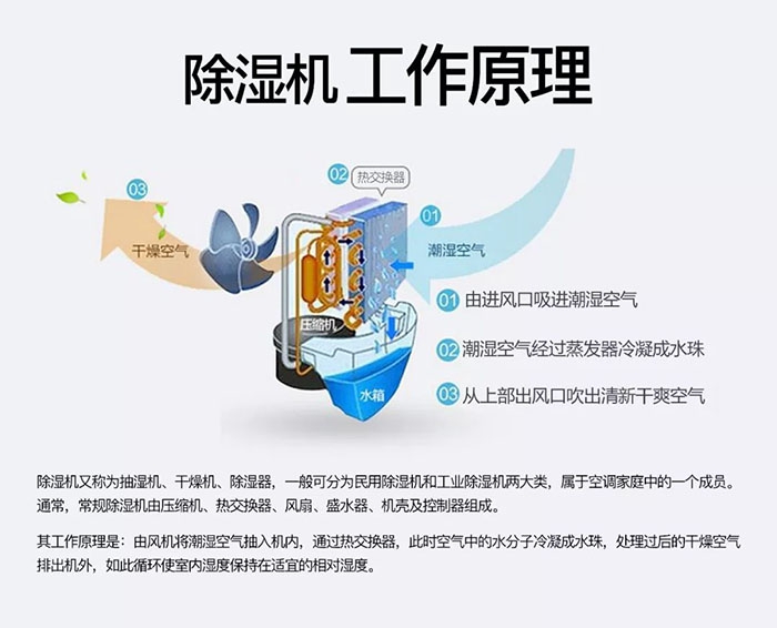 潮濕天氣狗最容易患上這種毛??！三個(gè)注意事項(xiàng)，鏟屎官一定要看看