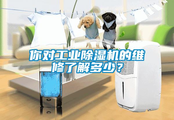 你對(duì)工業(yè)除濕機(jī)的維修了解多少？