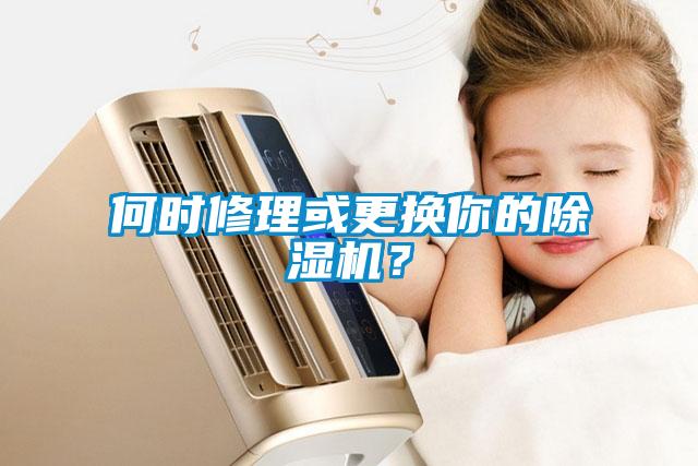 何時修理或更換你的除濕機？