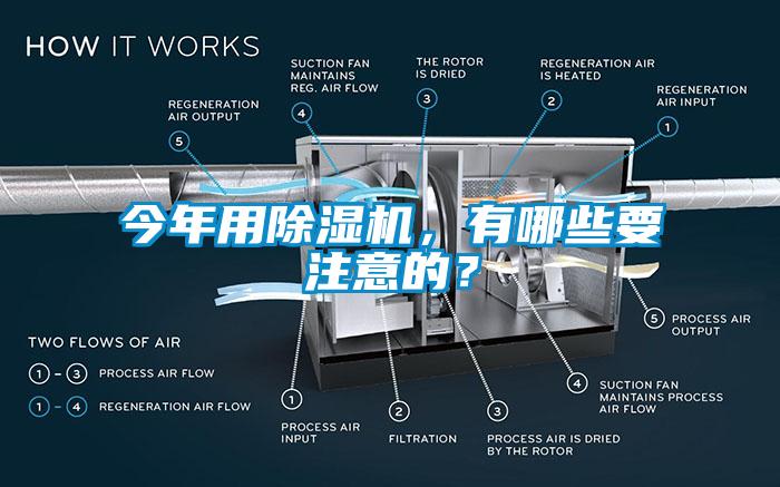 今年用除濕機，有哪些要注意的？