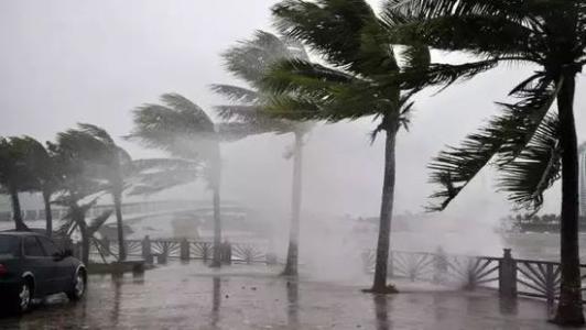 8月臺風(fēng)雨即將來，除濕機還得用起來