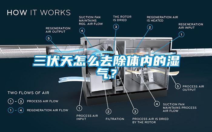 三伏天怎么去除體內(nèi)的濕氣？