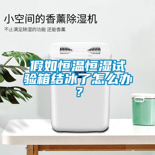 假如恒溫恒濕試驗(yàn)箱結(jié)冰了怎么辦？