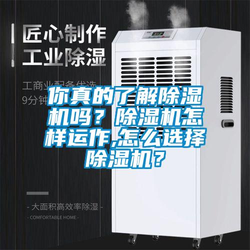 你真的了解除濕機嗎？除濕機怎樣運作,怎么選擇除濕機？