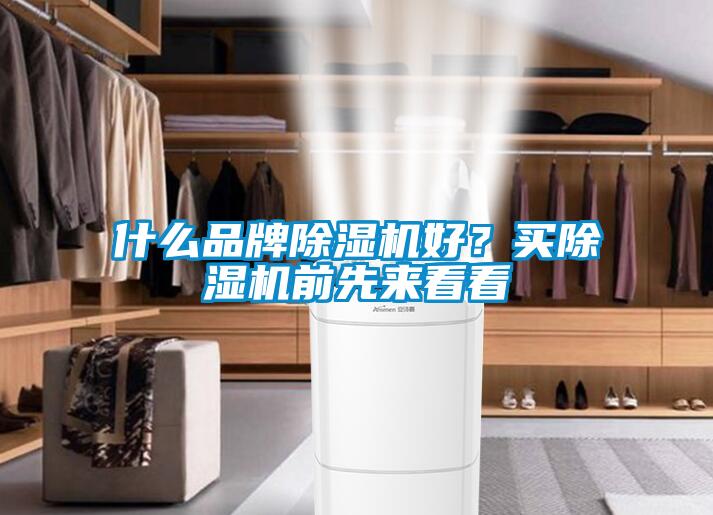 什么品牌除濕機好？買除濕機前先來看看