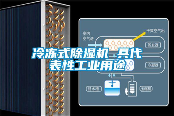 冷凍式除濕機(jī) 具代表性工業(yè)用途