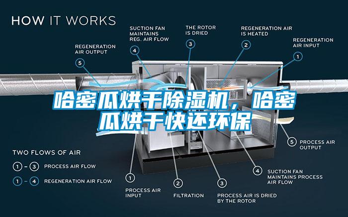 哈密瓜烘干除濕機(jī)，哈密瓜烘干快還環(huán)保