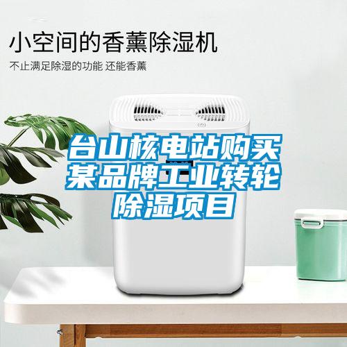 臺山核電站購買某品牌工業(yè)轉(zhuǎn)輪除濕項目