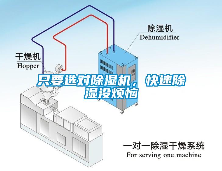 只要選對除濕機，快速除濕沒煩惱