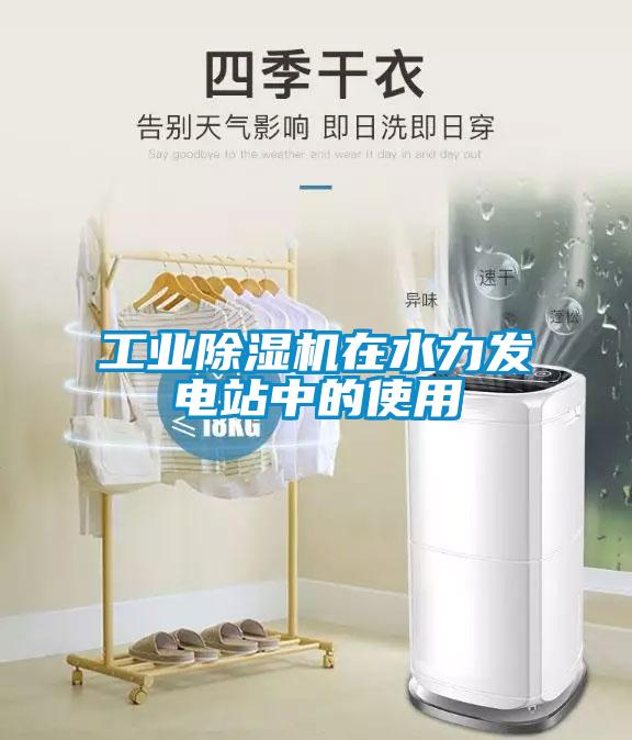 工業(yè)除濕機在水力發(fā)電站中的使用