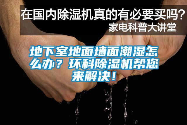 地下室地面墻面潮濕怎么辦？環(huán)科除濕機幫您來解決！