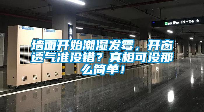 墻面開始潮濕發(fā)霉，開窗透氣準沒錯？真相可沒那么簡單！