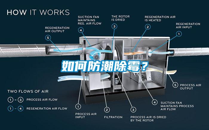 如何防潮除霉？