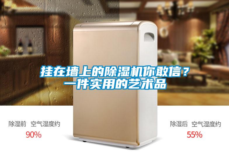 掛在墻上的除濕機(jī)你敢信？一件實(shí)用的藝術(shù)品