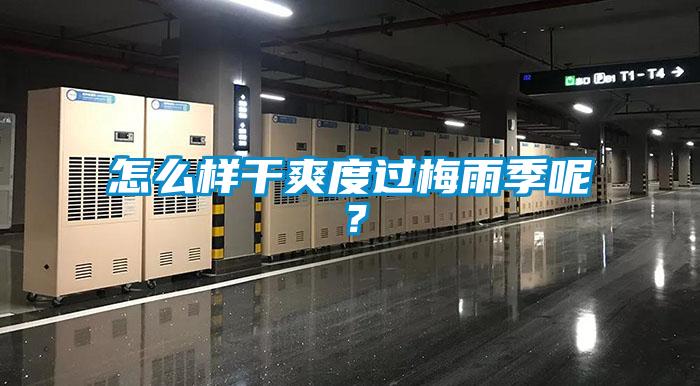 怎么樣干爽度過(guò)梅雨季呢？