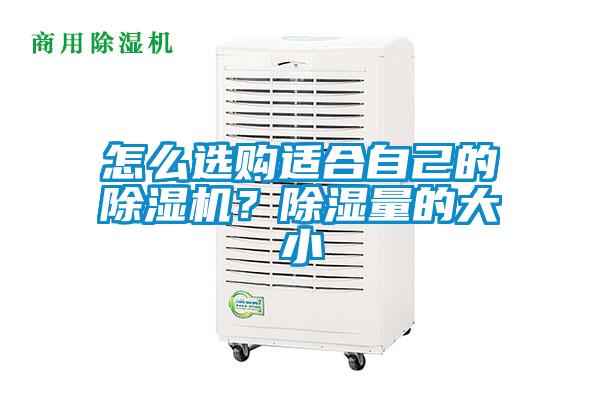 怎么選購適合自己的除濕機？除濕量的大小