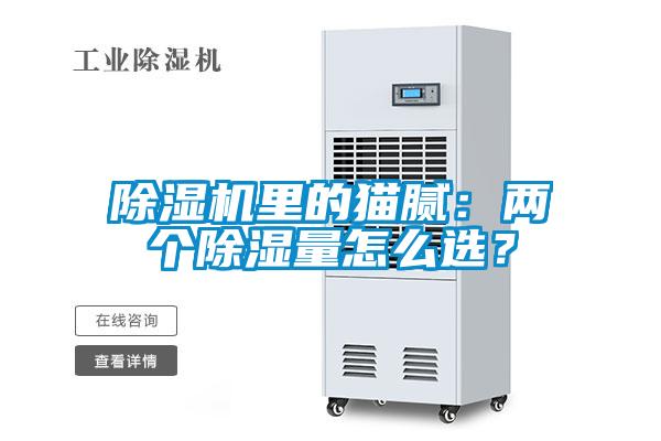 除濕機里的貓膩：兩個除濕量怎么選？