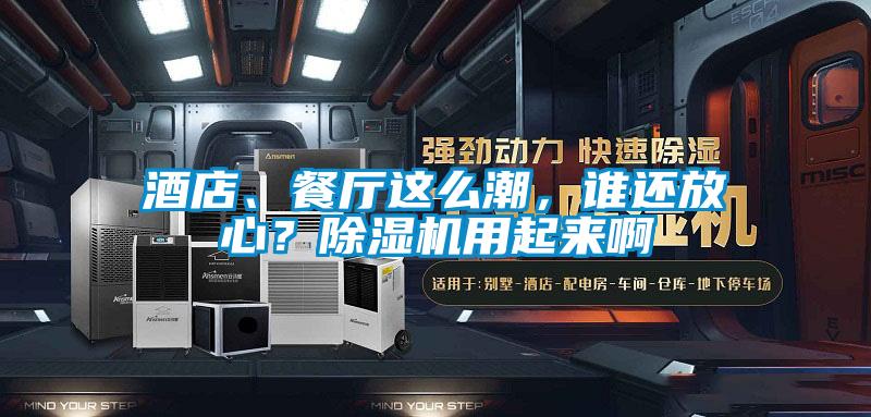 酒店、餐廳這么潮，誰還放心？除濕機用起來啊