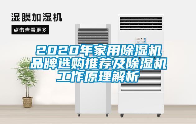 2020年家用除濕機(jī)品牌選購?fù)扑]及除濕機(jī)工作原理解析