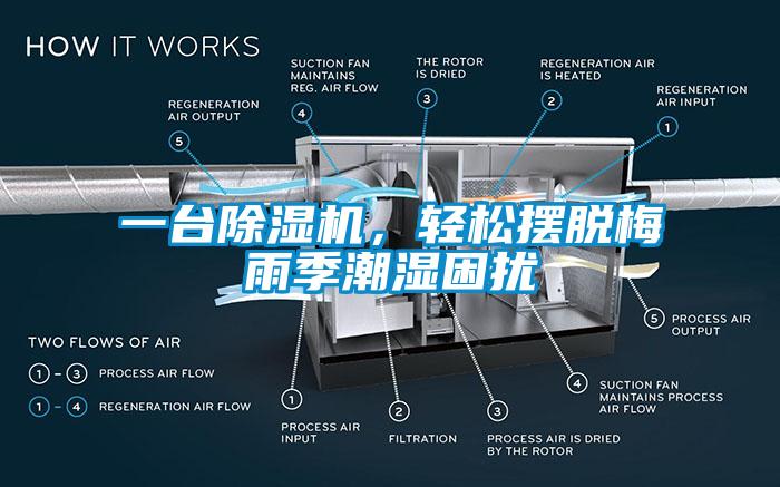 一臺除濕機，輕松擺脫梅雨季潮濕困擾