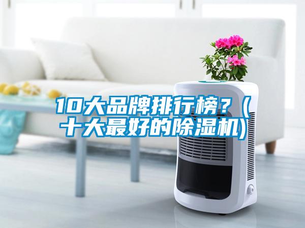 10大品牌排行榜？(十大最好的除濕機(jī))