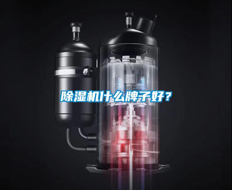 除濕機什么牌子好？