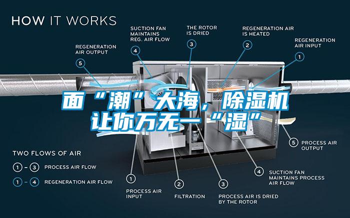 面“潮”大海，除濕機(jī)讓你萬(wàn)無(wú)一“濕”