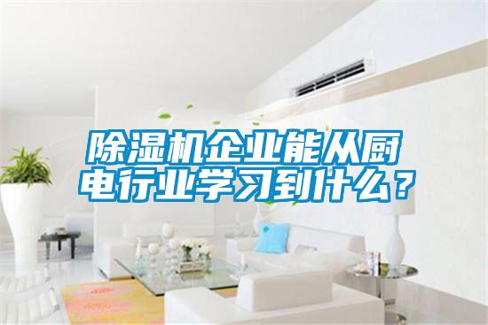 除濕機企業(yè)能從廚電行業(yè)學習到什么？