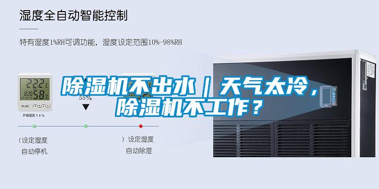 除濕機不出水｜天氣太冷，除濕機不工作？