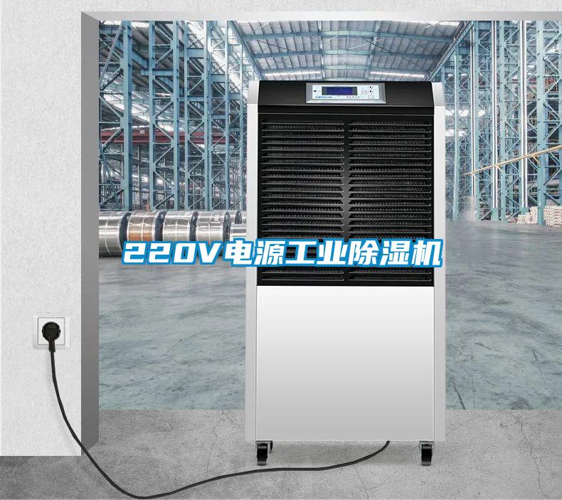 220V電源工業(yè)除濕機