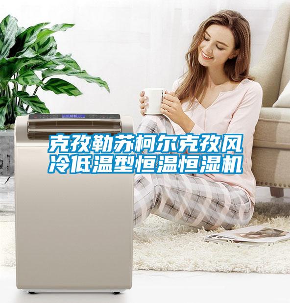 克孜勒蘇柯爾克孜風(fēng)冷低溫型恒溫恒濕機