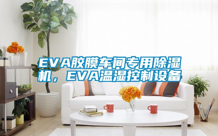 EVA膠膜車間專用除濕機(jī)，EVA溫濕控制設(shè)備