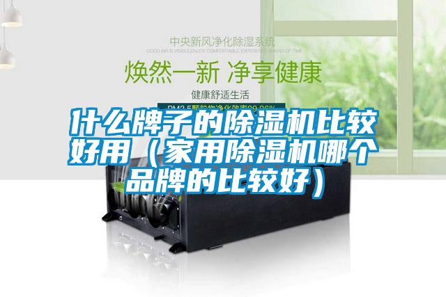 什么牌子的除濕機比較好用（家用除濕機哪個品牌的比較好）