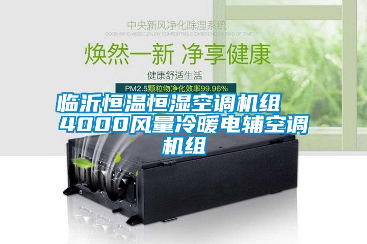 臨沂恒溫恒濕空調(diào)機(jī)組  4000風(fēng)量冷暖電輔空調(diào)機(jī)組