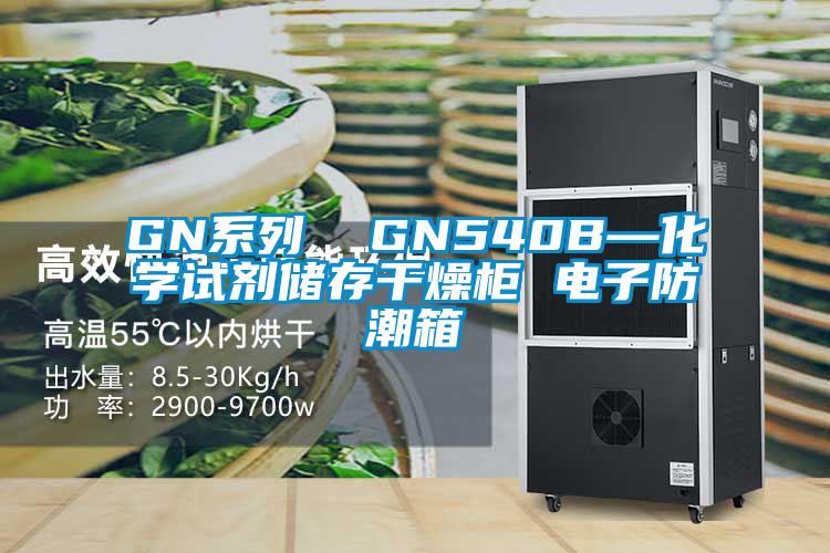 GN系列  GN540B—化學(xué)試劑儲(chǔ)存干燥柜 電子防潮箱