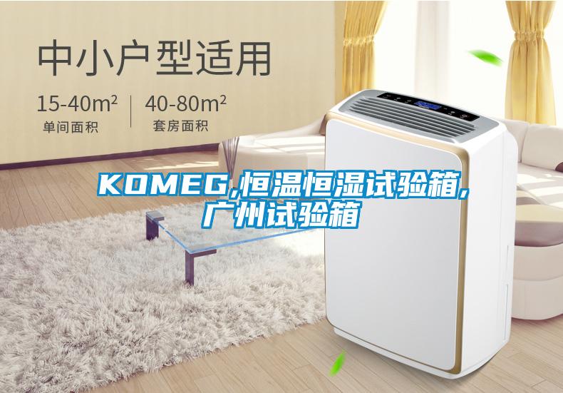 KOMEG,恒溫恒濕試驗箱,廣州試驗箱