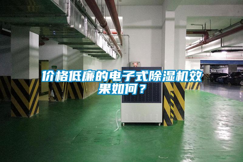 價格低廉的電子式除濕機效果如何？