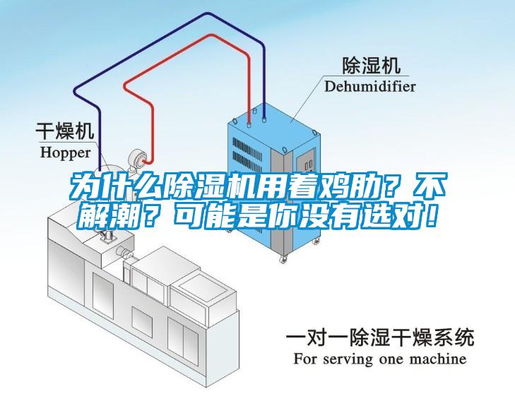 為什么除濕機用著雞肋？不解潮？可能是你沒有選對！