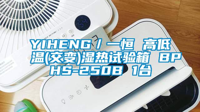 YIHENG／一恒 高低溫(交變)濕熱試驗(yàn)箱 BPHS-250B 1臺