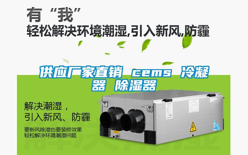 供應(yīng)廠家直銷 cems 冷凝器 除濕器