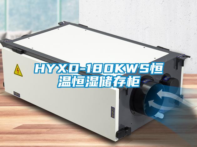 HYXD-180KWS恒溫恒濕儲存柜