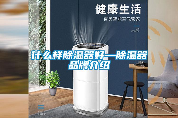 什么樣除濕器好—除濕器品牌介紹