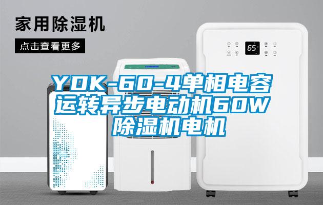 YDK-60-4單相電容運轉(zhuǎn)異步電動機60W 除濕機電機