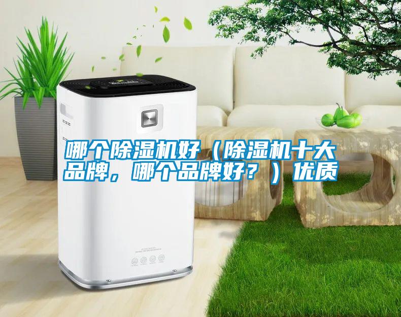 哪個除濕機好（除濕機十大品牌，哪個品牌好？）優(yōu)質(zhì)