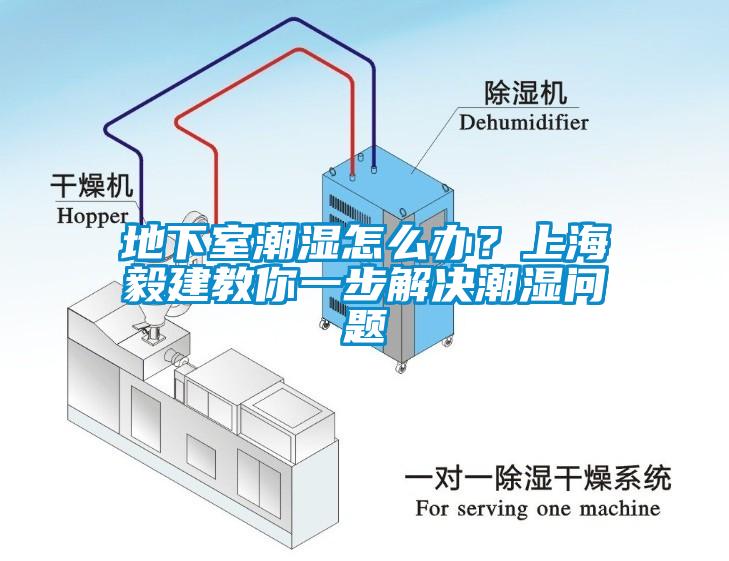 地下室潮濕怎么辦？上海毅建教你一步解決潮濕問(wèn)題