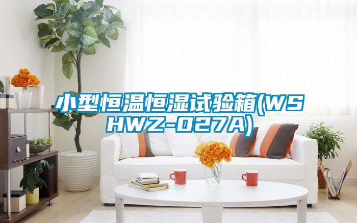 小型恒溫恒濕試驗(yàn)箱(WSHWZ-027A)