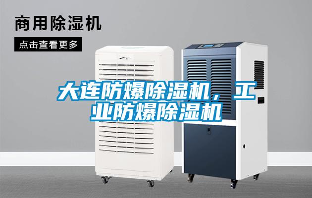 大連防爆除濕機(jī)，工業(yè)防爆除濕機(jī)