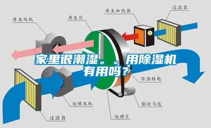 家里很潮濕。。用除濕機(jī)有用嗎？