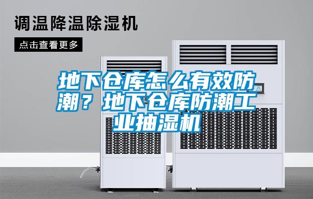 地下倉庫怎么有效防潮？地下倉庫防潮工業(yè)抽濕機(jī)