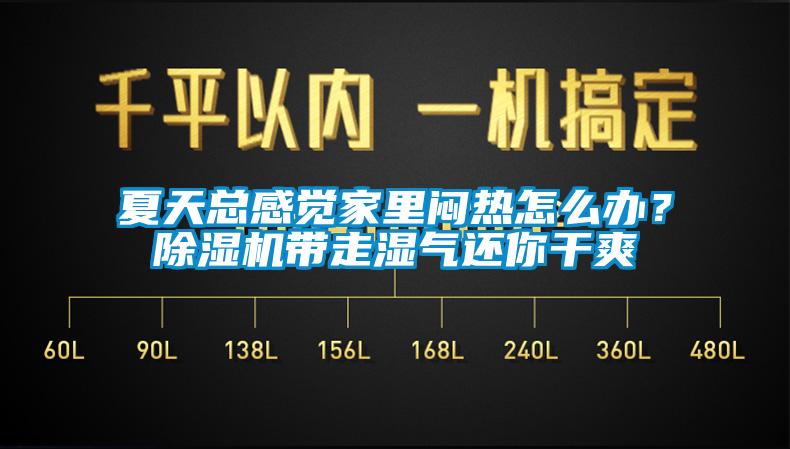 夏天總感覺(jué)家里悶熱怎么辦？除濕機(jī)帶走濕氣還你干爽